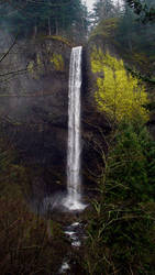 Lower Latourell Falls