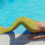 Mermaid 95