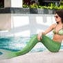 Mermaid 237