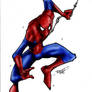 Spiderman - Rantz