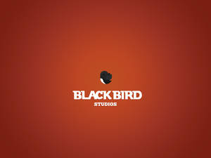 BLACKBIRD STUDIOS updated