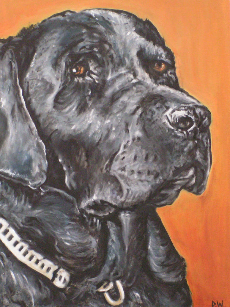 Black Lab Deviantart Black Labrador by dwhitfield on DeviantArt