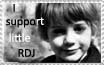 I support little RDJ