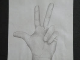 Hand Sketch