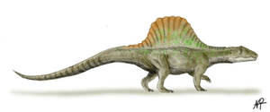 Arizonasaurus