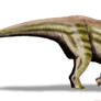 Achelousaurus