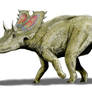 Agujaceratops