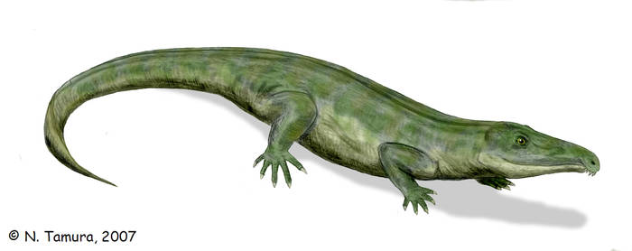 #proterosuchus | Explore proterosuchus on DeviantArt