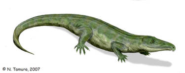Proterosuchus