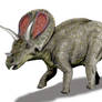 Torosaurus