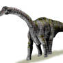 Rapetosaurus