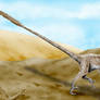 Velociraptor
