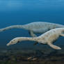 Augustasaurus