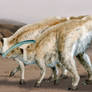 Parasaurolophus