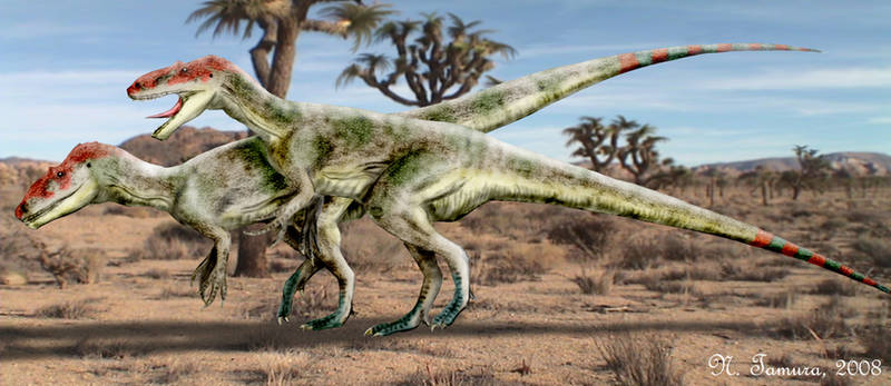 Afrovenator by NTamura
