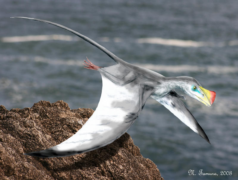 Austriadactylus