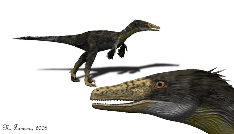 Austroraptor II