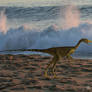 Compsognathus II