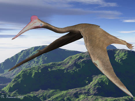 Quetzalcoatlus