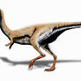 Limusaurus