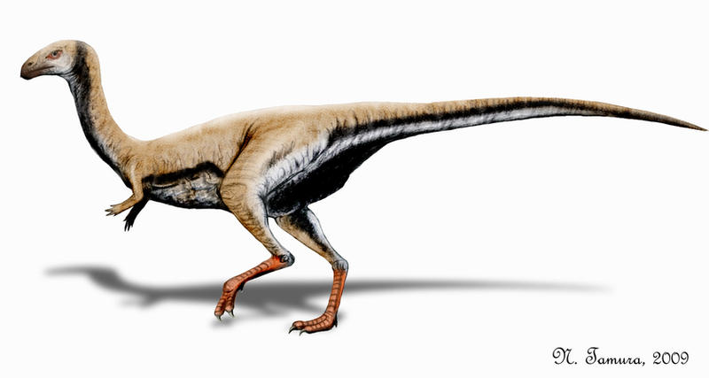 Limusaurus