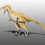 Bambiraptor