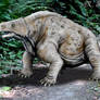 Pareiasaurus
