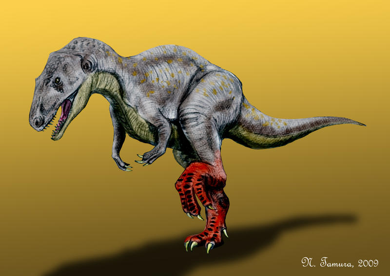 Sinraptor