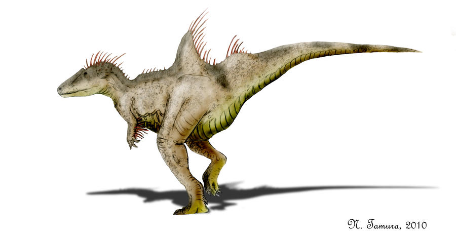 Concavenator by NTamura