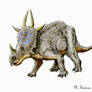 Rubeosaurus