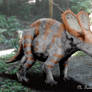 Utahceratops II