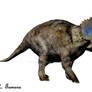 Nasutuceratops I