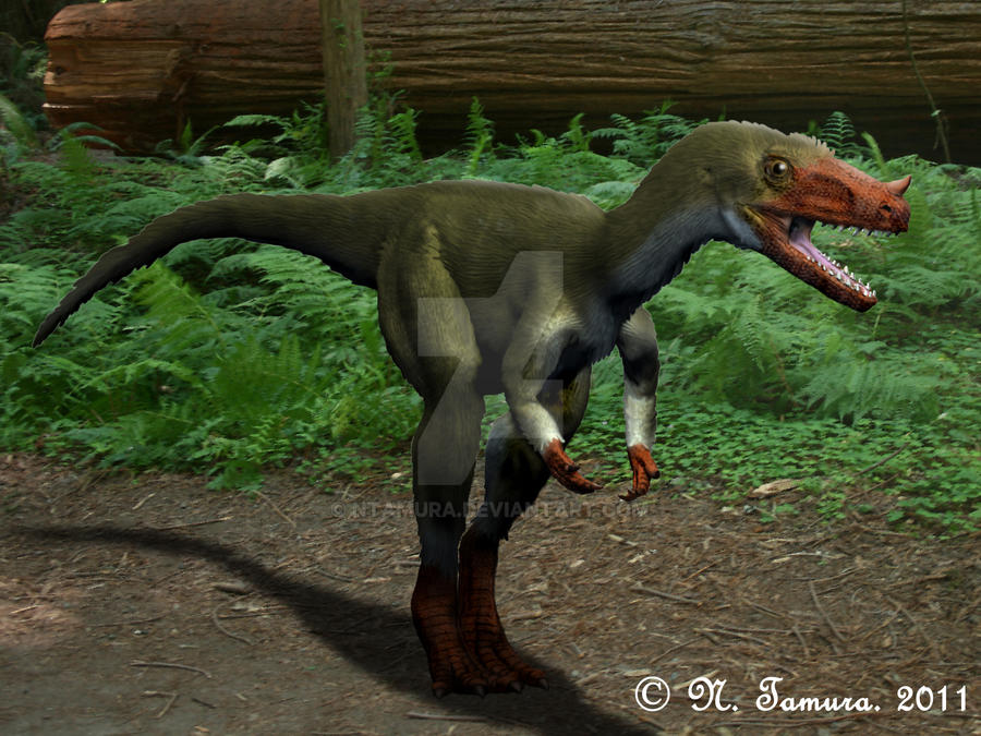 Proceratosaurus