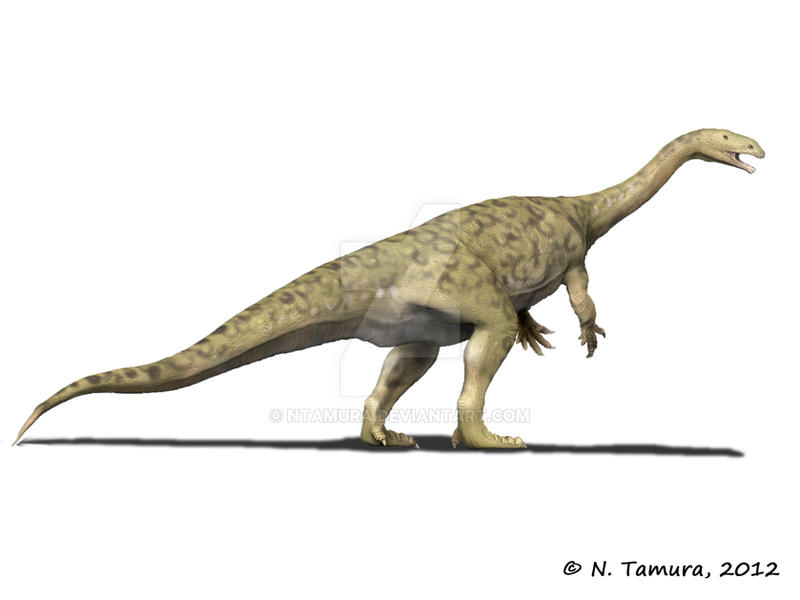 Artist's reconstruction of Sellosaurus