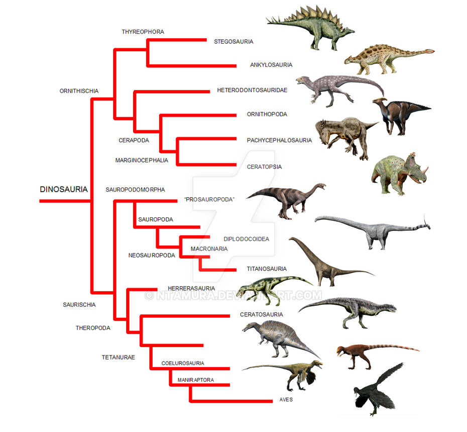 Прогрессивными характеристиками птиц в сравнении с рептилиями. Филогенетическое Древо динозавров. Эволюция динозавров схема по периодам. Систематика динозавров схема. Отряды динозавров схема.