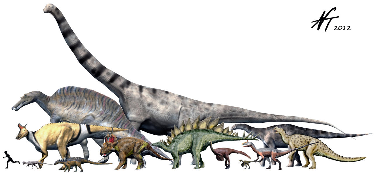 Dinosaur diversity
