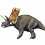 Bravoceratops