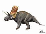 Bravoceratops