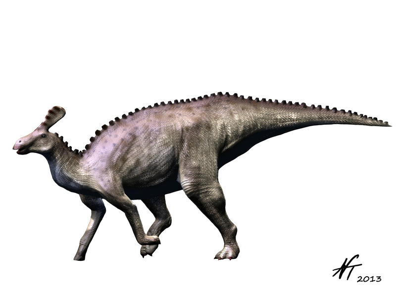 Tsintaosaurus by NTamura