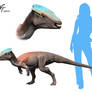 Homalocephale