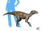 Sacisaurus