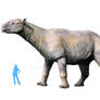 Paraceratherium transouralicum