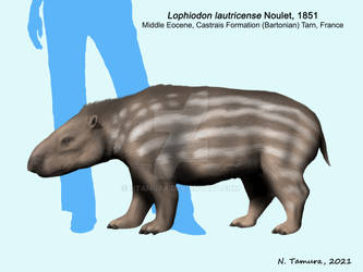 Lophiodon lautricense