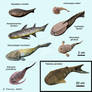 Devonian Fish Series #7 by NTamura on DeviantArt