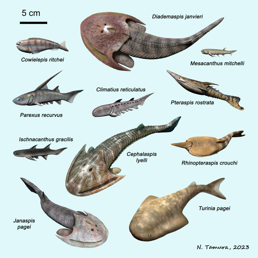 Devonian Series No 3 by NTamura on DeviantArt