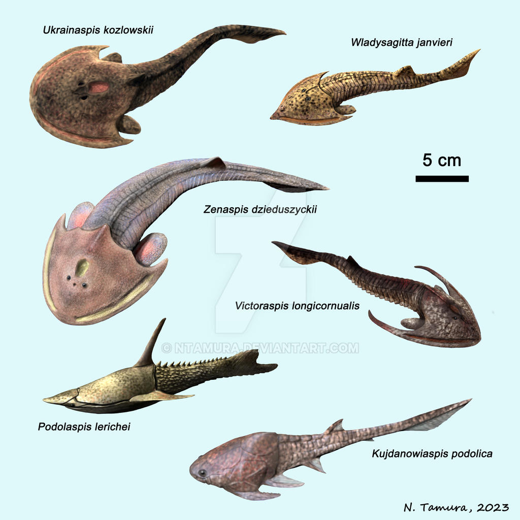 Devonian Series no 4 by NTamura on DeviantArt