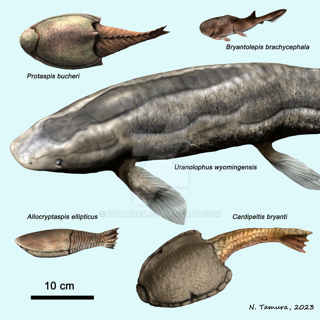 Devonian Fish Series #5 by NTamura on DeviantArt