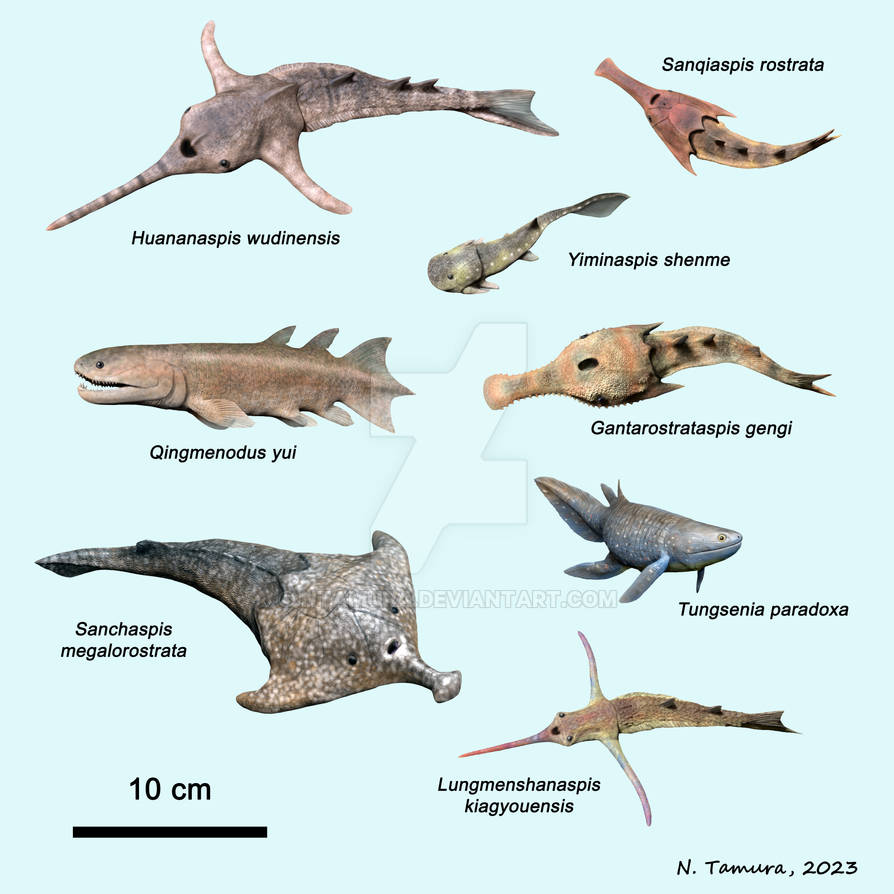 Devonian Fish Series #6 by NTamura on DeviantArt