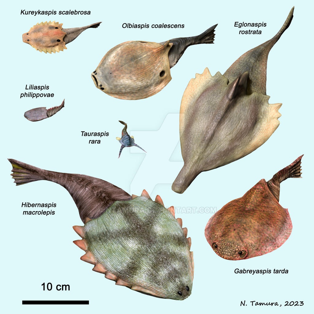 Devonian Fish Series #7 by NTamura on DeviantArt