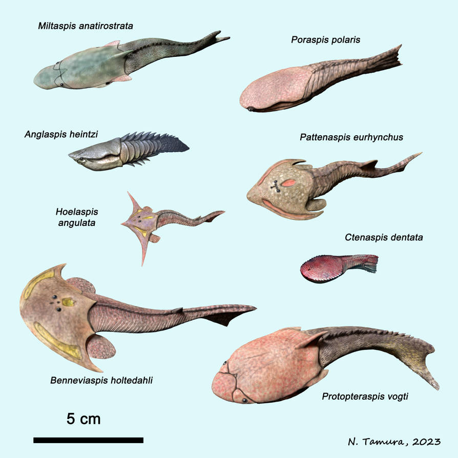 Devonian Fish Series #8 by NTamura on DeviantArt